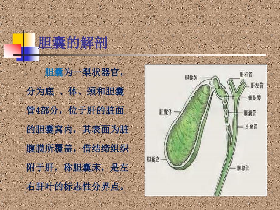 腹腔镜下胆囊切除术的手术配合.ppt_第3页