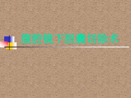 腹腔镜下胆囊切除术的手术配合.ppt