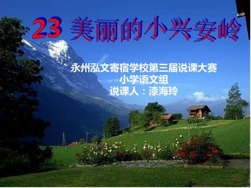 美丽的小兴安岭说课课件.ppt