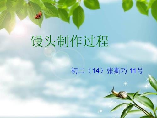 馒头制作过程PPT课件.ppt
