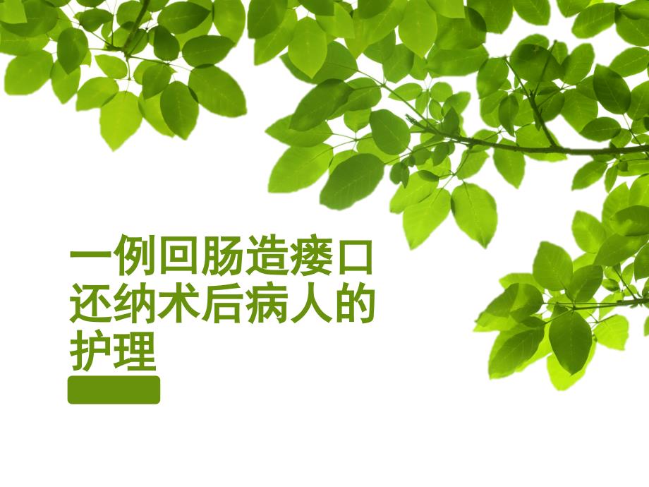 肠造瘘口还纳术教学查房.ppt_第1页