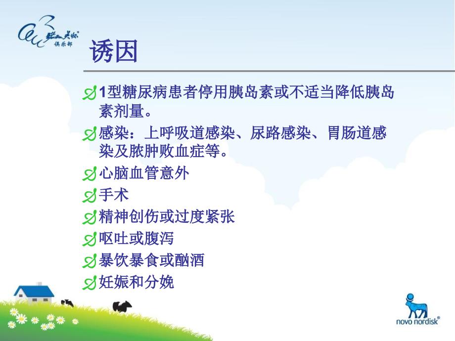 糖尿病酮症护理查房.ppt_第3页