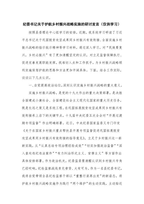 纪委书记关于护航乡村振兴战略实施的研讨发言仅供学习.doc