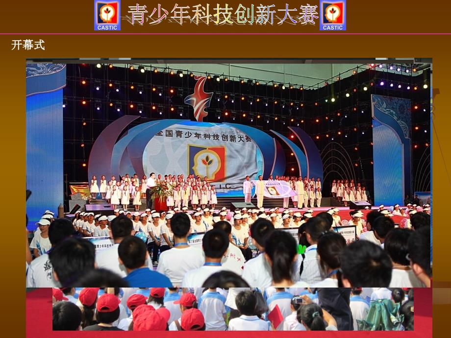 青少年科技创新大赛的选题.ppt_第2页