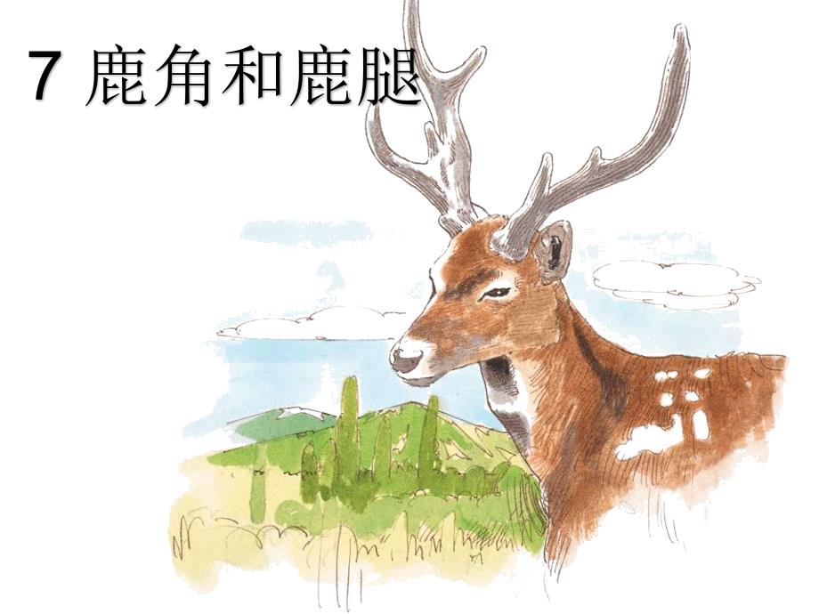 部编版三年级语文下鹿角和鹿腿.ppt_第3页