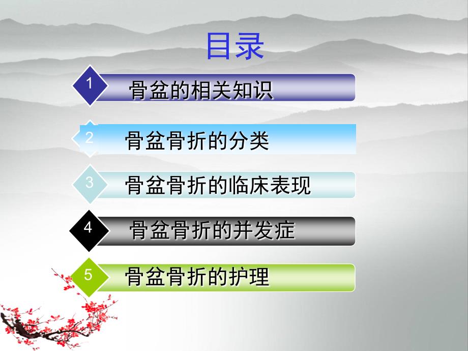 骨盆骨折病人的护理查房PPT.ppt_第2页