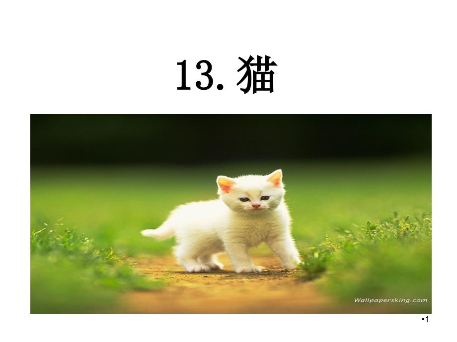部编版四年级语文下册13猫ppt课件.ppt_第1页