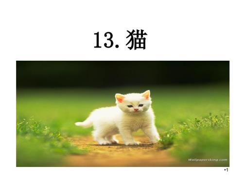 部编版四年级语文下册13猫ppt课件.ppt