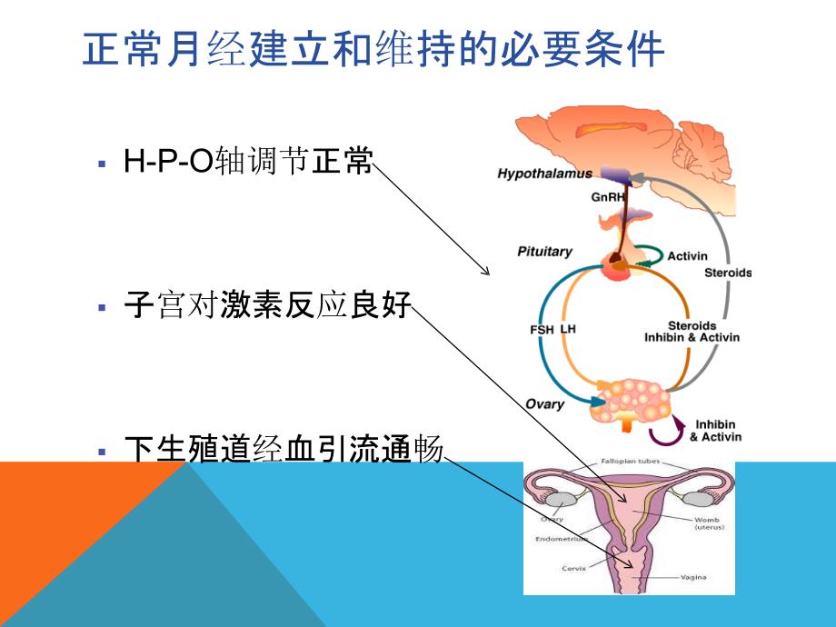 闭经的诊断和治疗PPT课件.pptx_第2页