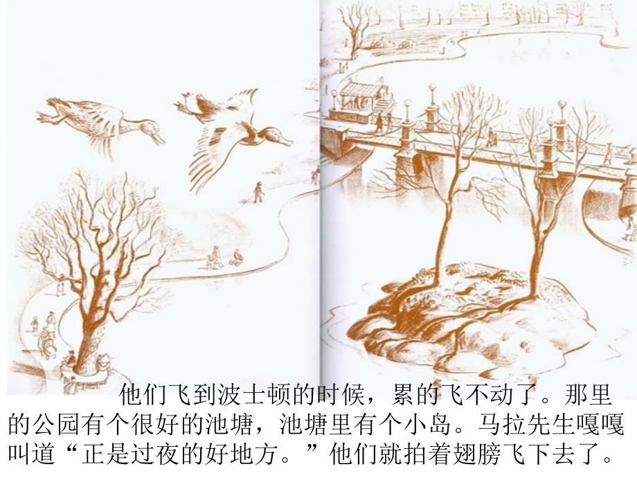 让路给小鸭子PPT课件.ppt_第3页