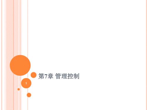 管理控制与案例分析.ppt
