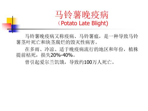 马铃薯晚疫病PPT课件.ppt