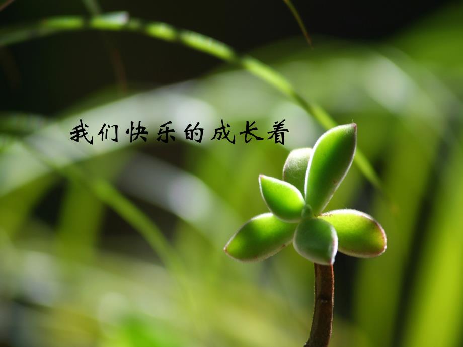青主题课件.ppt_第3页