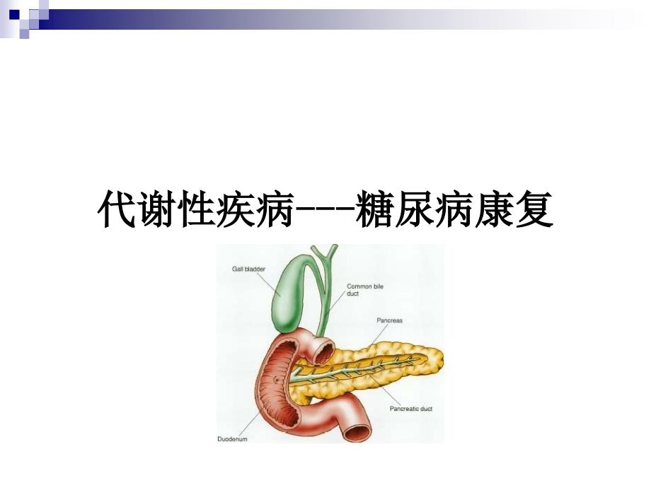 糖尿病的康复PPT课件.ppt_第2页