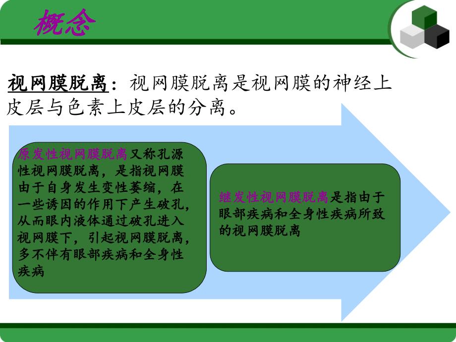 视网膜脱落小讲课.ppt_第2页