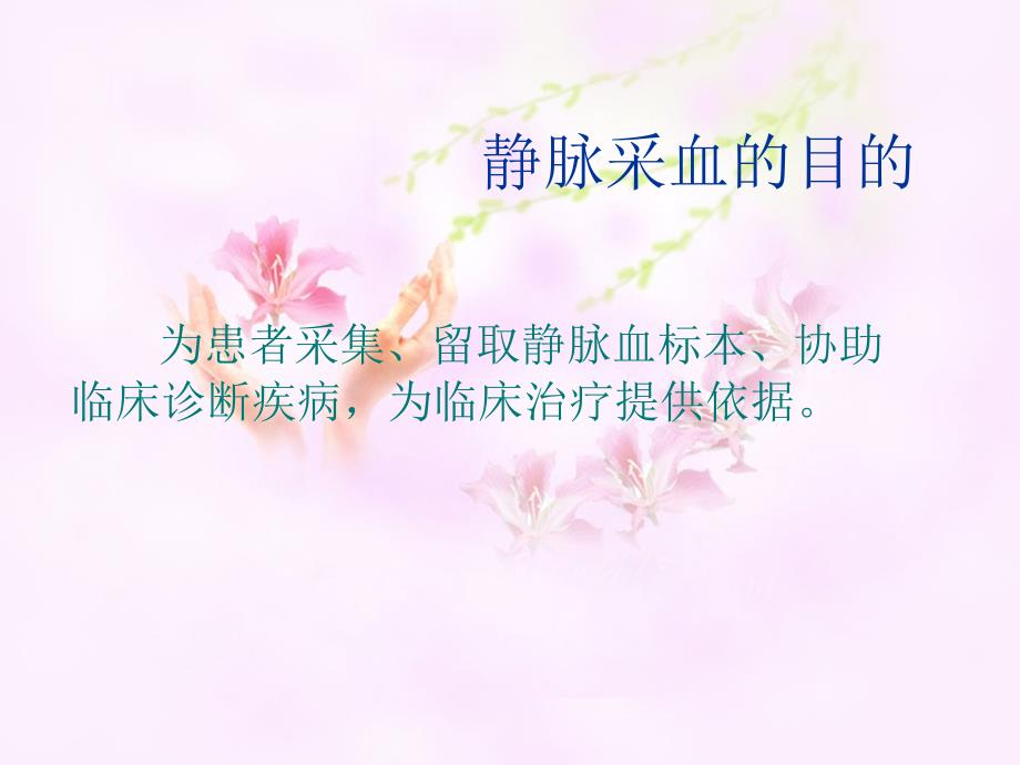 静脉采血.ppt.ppt_第3页