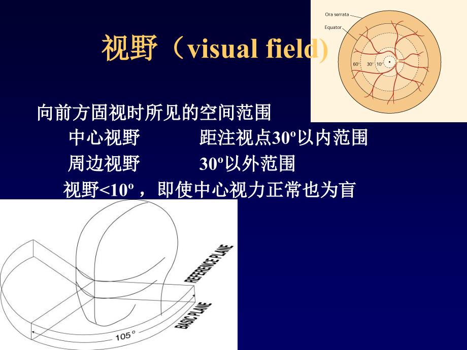 视野计及其检查判读方法.ppt_第2页