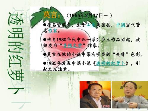 莫言透明的红萝卜解读西安交通大学中国当代文学ppt课件.ppt