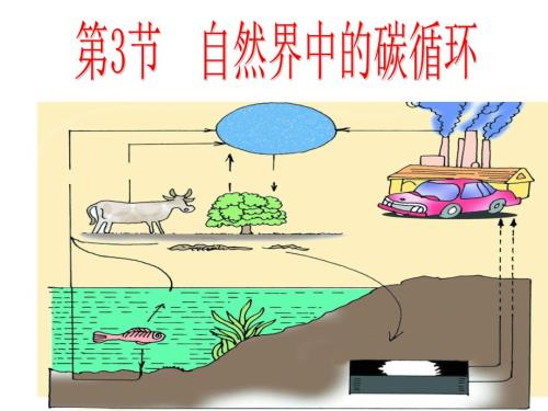 自然界中的碳循环ppt课件.ppt