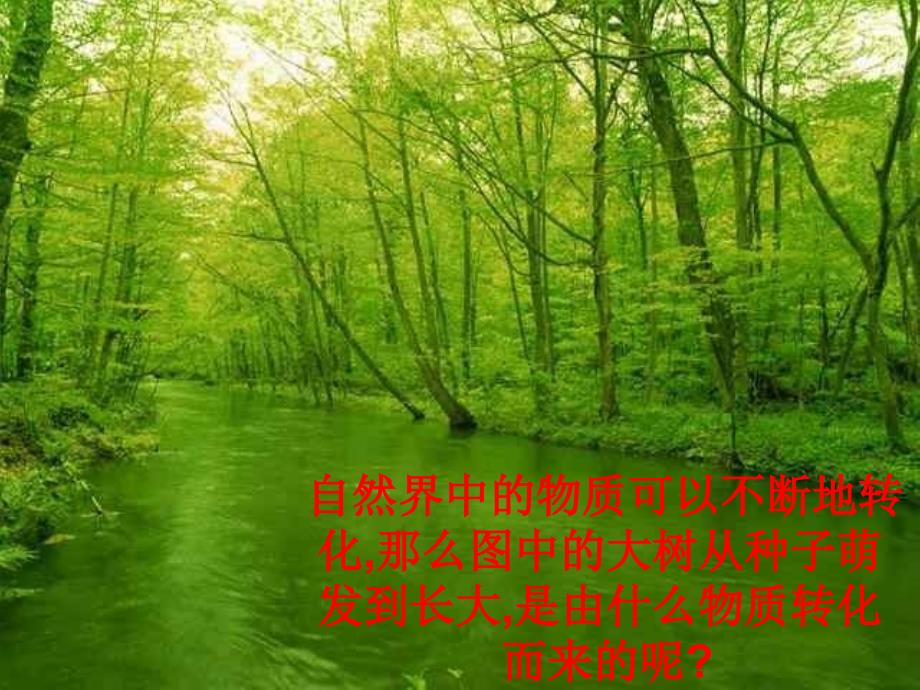 自然界中的碳循环ppt课件.ppt_第2页
