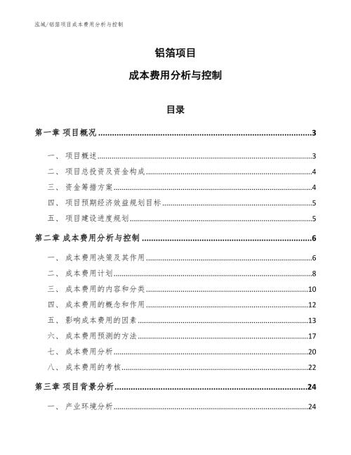铝箔项目成本费用分析与控制范文.docx