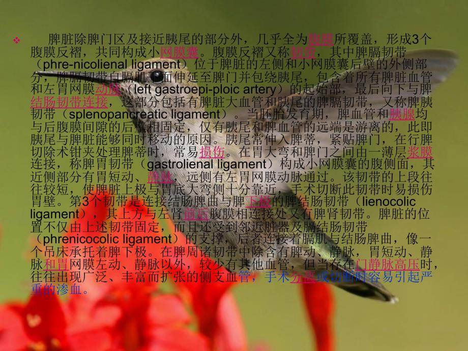 腹腔镜下脾切除术课件.ppt_第3页