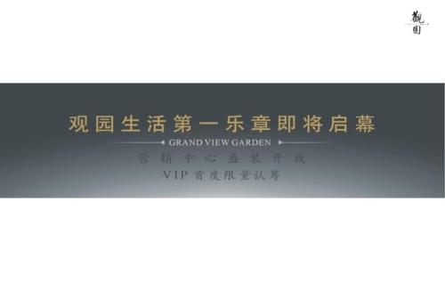 观园国际公寓开盘盛典活动执行策划方案.ppt