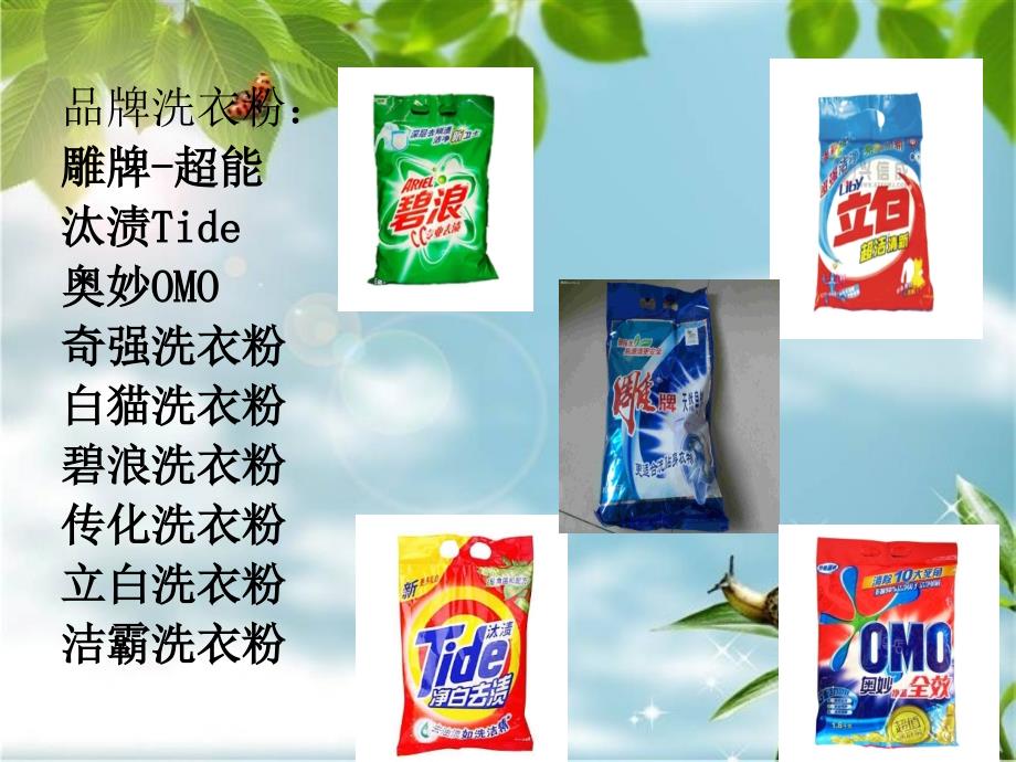 高效去污济洗衣粉PPT课件.ppt_第2页