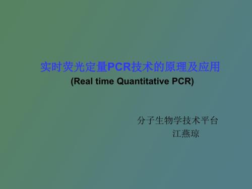 绝对定量和相对定量.ppt