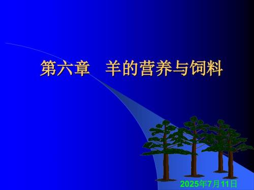 羊的营养与饲料PPT课件.ppt