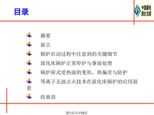 程昌业循环流化床锅炉启停问题等探讨PPT课件.pptx