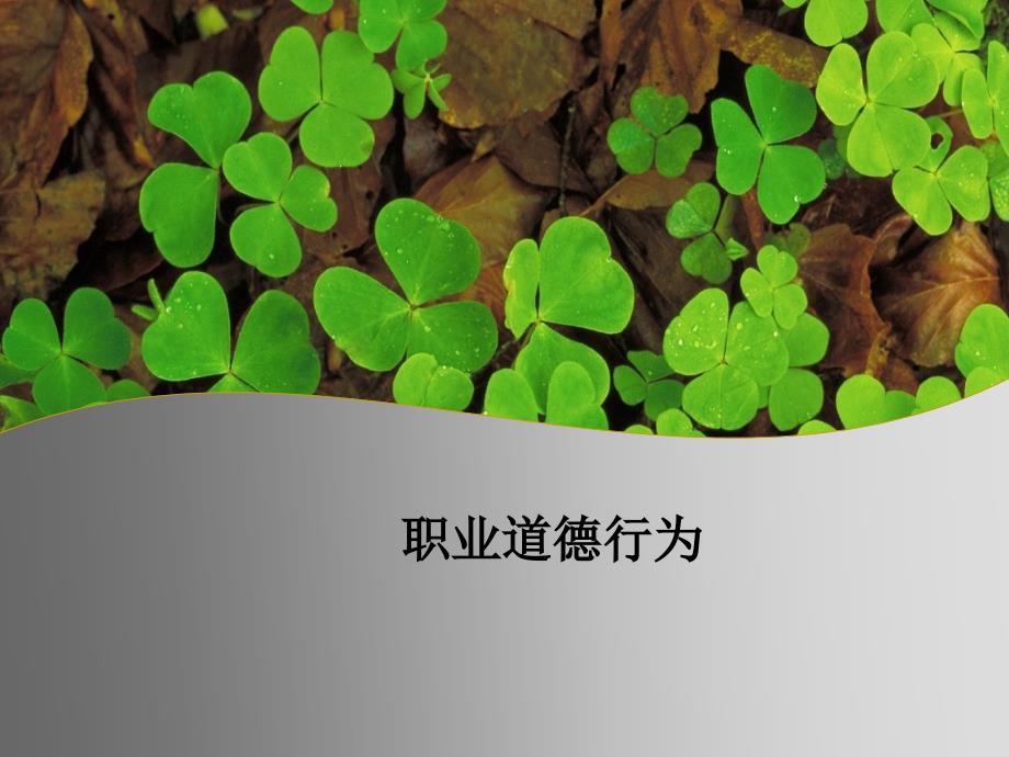 职业道德行为PPT课件.ppt_第1页