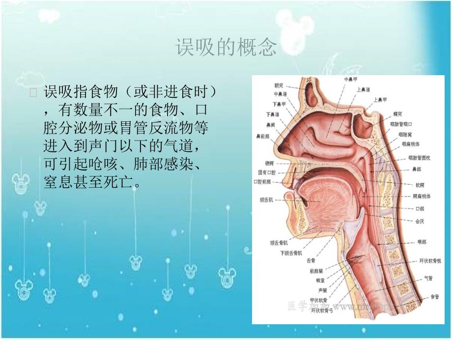 防止误吸的健康宣教.ppt_第3页