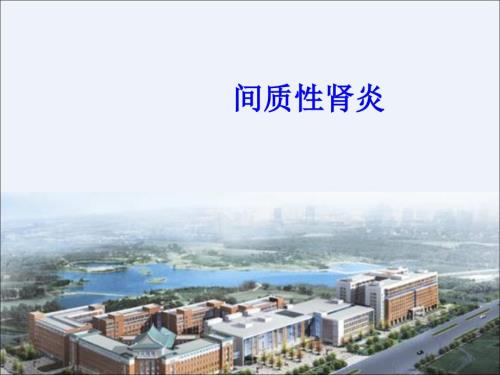间质性肾炎课件.pptx