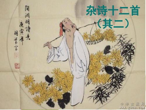 陶渊明杂诗十二首其二课件.ppt