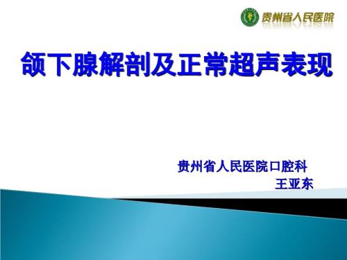 颌下腺解剖及正常超声表现.ppt