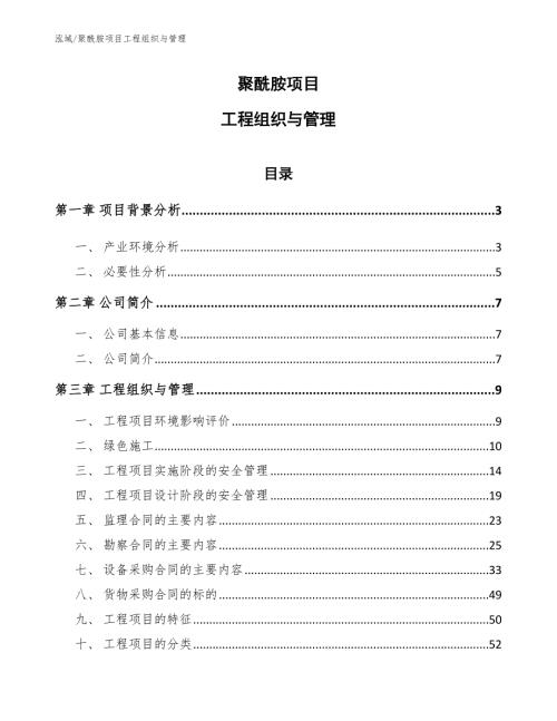 聚酰胺项目工程组织与管理.docx