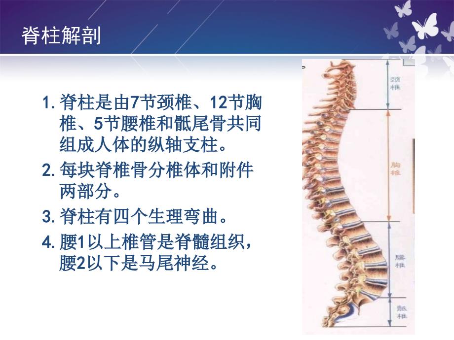 脊柱骨折的护理PPT.ppt_第2页