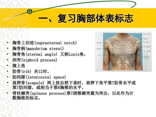 胸部体格检查PPT课件.ppt