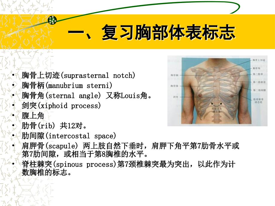 胸部体格检查PPT课件.ppt_第1页