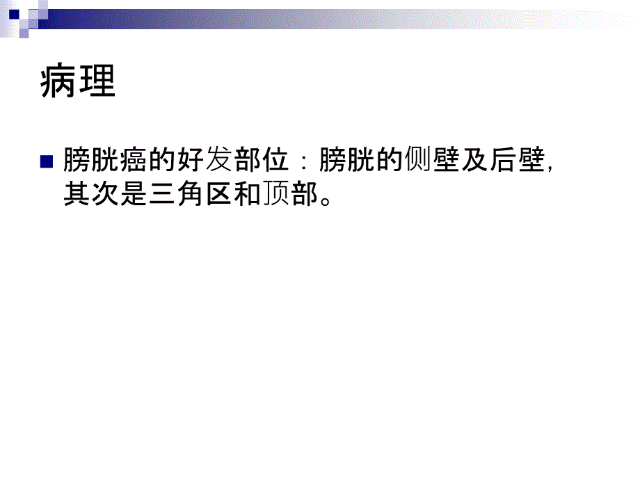 膀胱肿瘤ppt课件.pptx_第3页