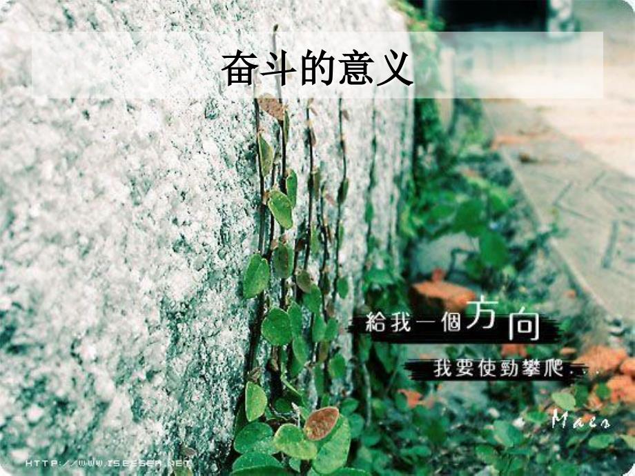 高中生励志奋斗与梦想.ppt_第3页