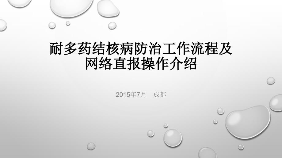 耐多药结核病防治工作流程.pptx_第1页