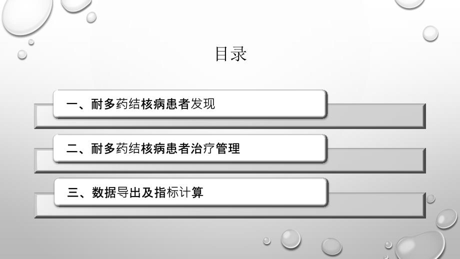 耐多药结核病防治工作流程.pptx_第2页