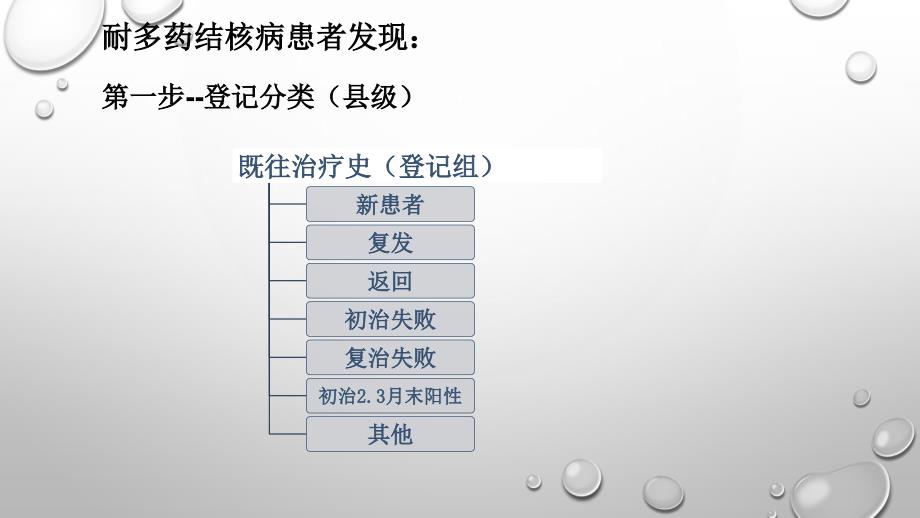 耐多药结核病防治工作流程.pptx_第3页