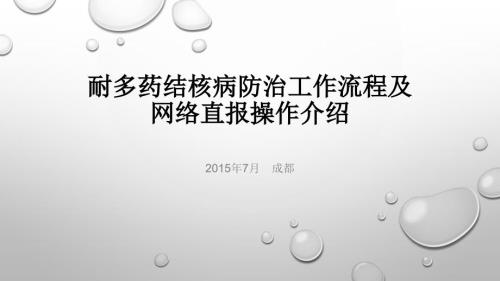 耐多药结核病防治工作流程.pptx