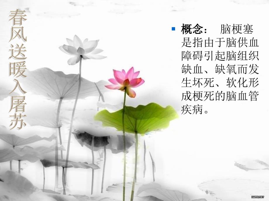 脑梗塞的健康教育课件.ppt_第3页