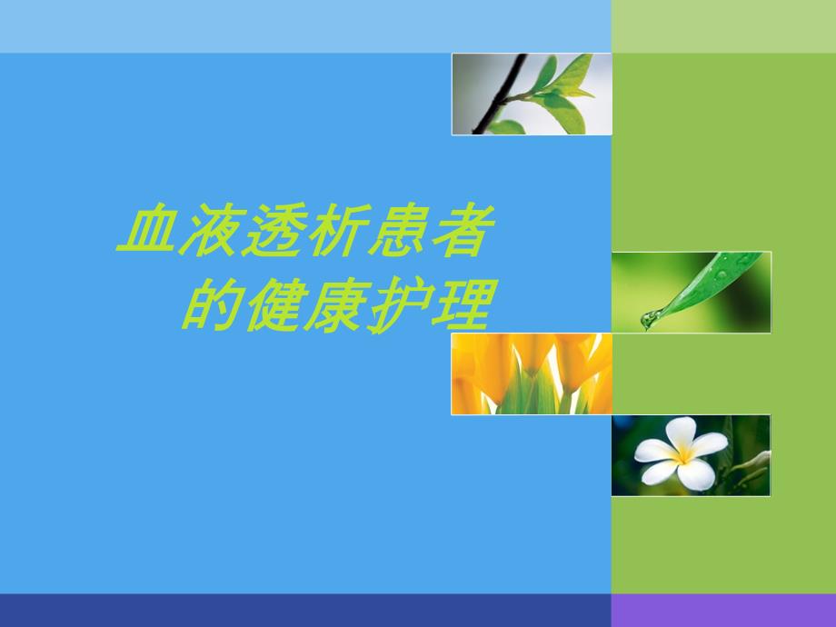 血液透析的健康教育.ppt_第1页