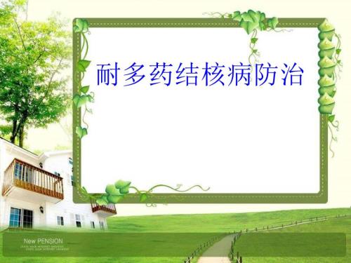 耐药结核病防治PPT课件.ppt