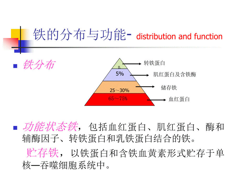 缺铁性贫血PPT课件.ppt_第3页